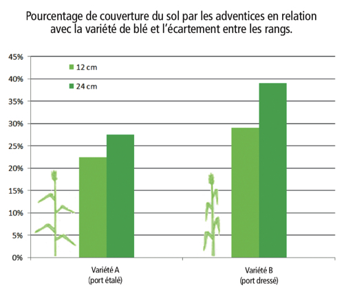 Couverture du sol par les adventices