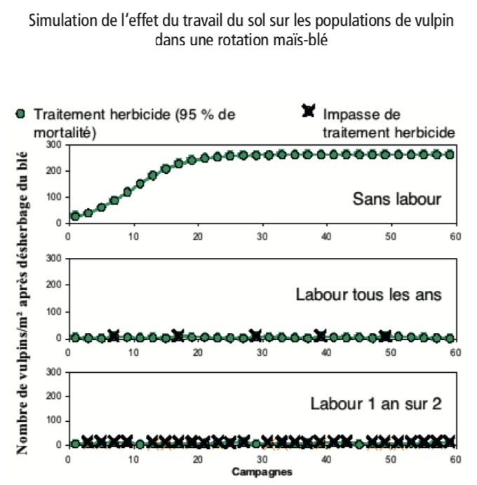 Simulation Travail sol sur Vulpin