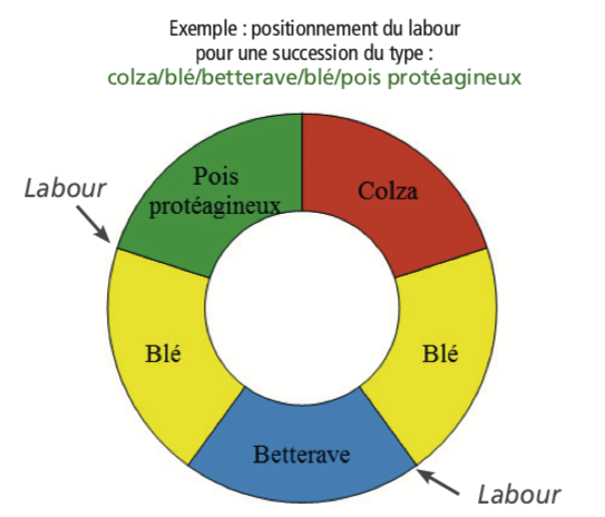 Graphe Labour