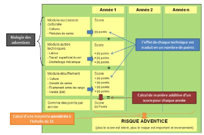 Principe d'évaluation du risque en adventice